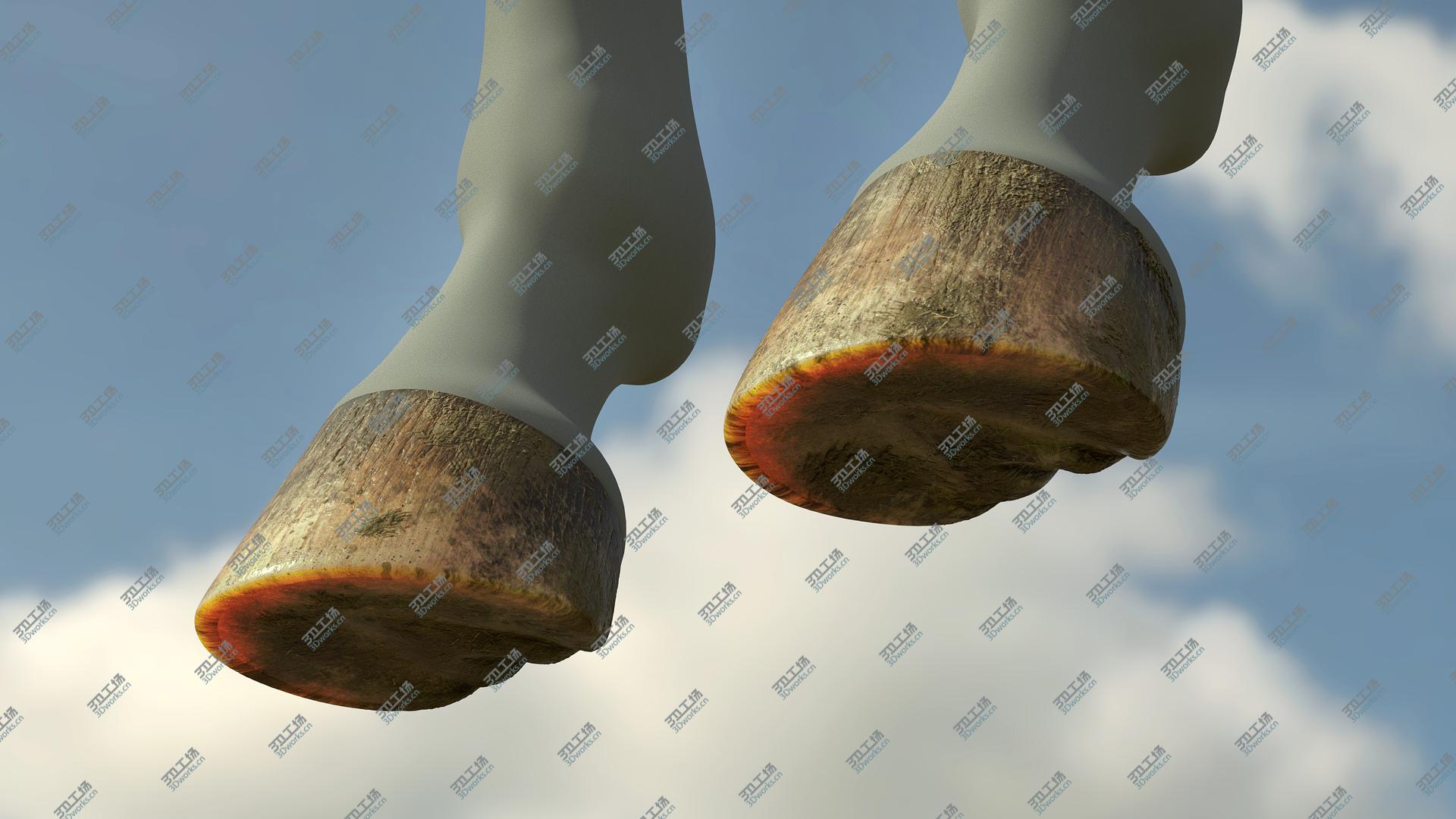 images/goods_img/2021040163/Horse Hoof HD 3D model/5.jpg